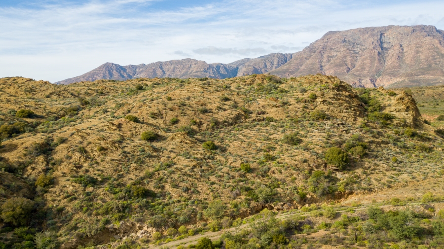 Commercial Property for Sale in Barrydale Western Cape